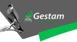 Gestam