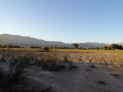 PHOTO-2020-08-31-12-24-01 15